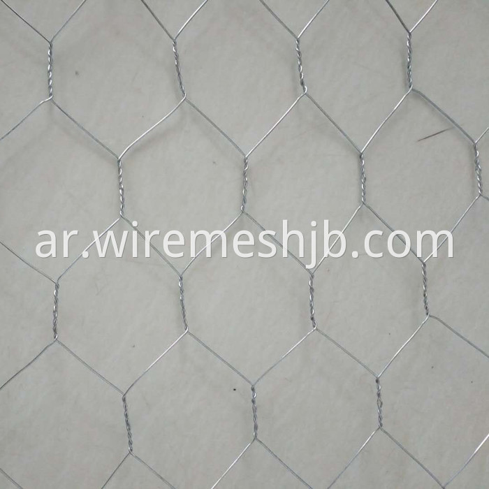 Chicken Wire Mesh